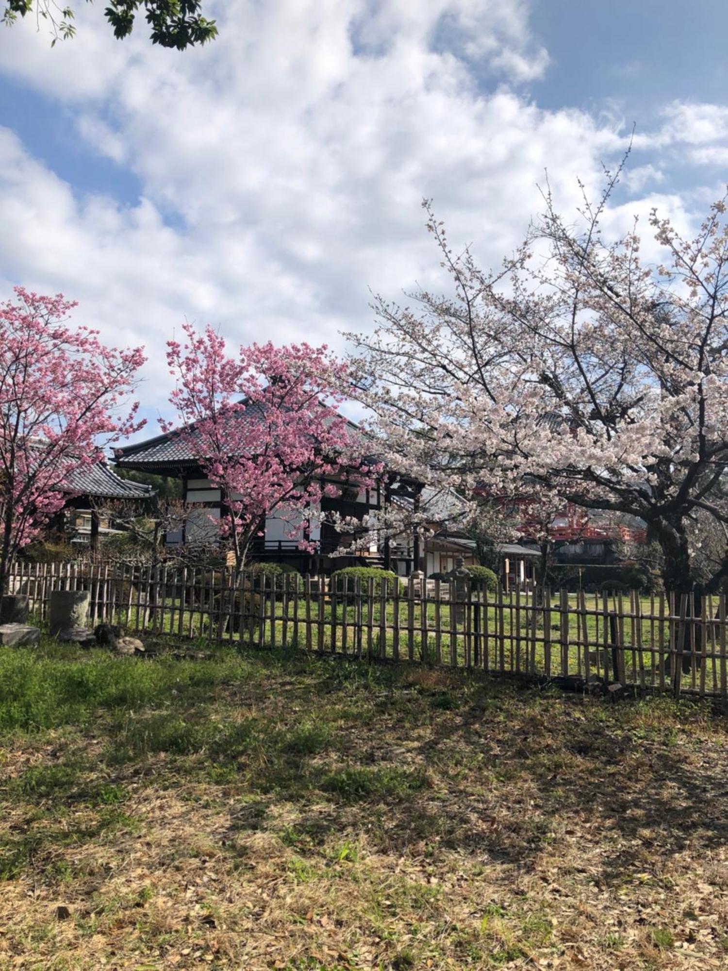 tsubame-ya Hotel Kyoto Eksteriør billede