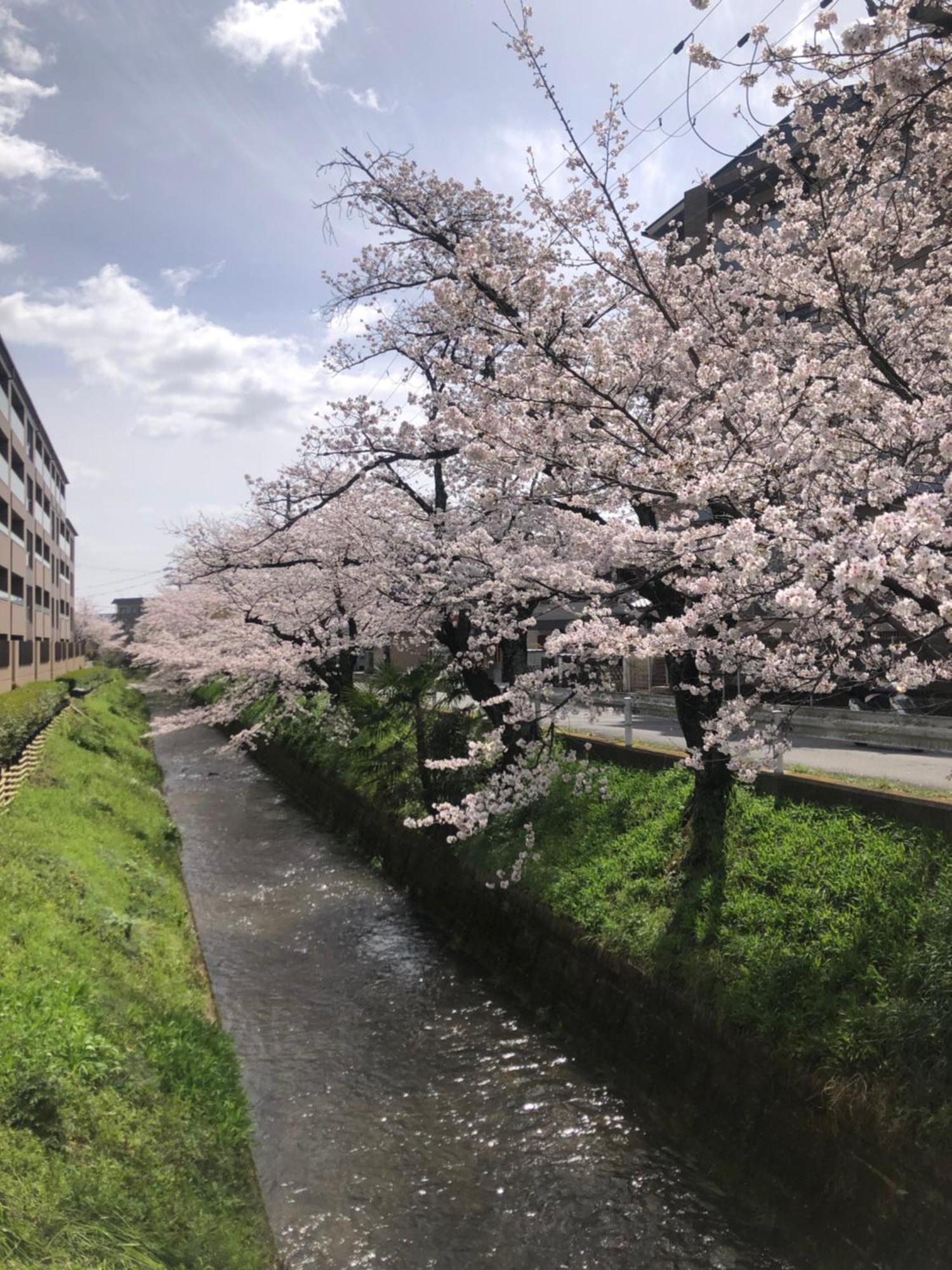 tsubame-ya Hotel Kyoto Eksteriør billede